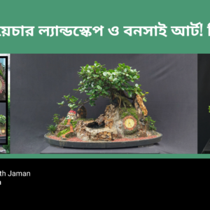 Miniature Landscape Design and Bonsai Art (2nd Batch)