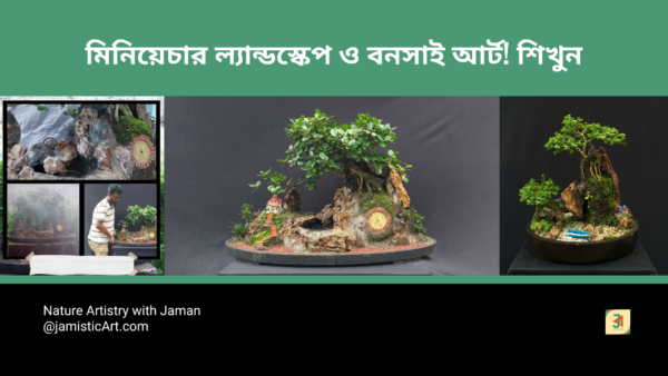 Miniature Landscape Design and Bonsai Art (2nd Batch)