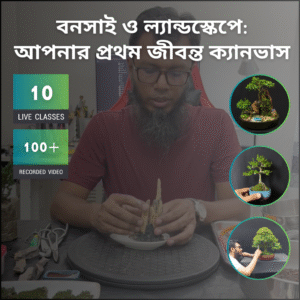 বনসাই ও ল্যান্ডস্কেপে: আপনার প্রথম জীবন্ত ক্যানভাস
